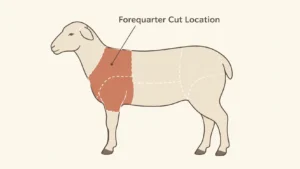 forequarter chops recipe