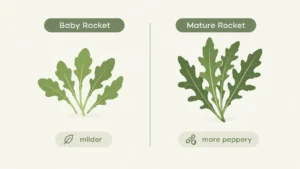 sweet potato and rocket salad